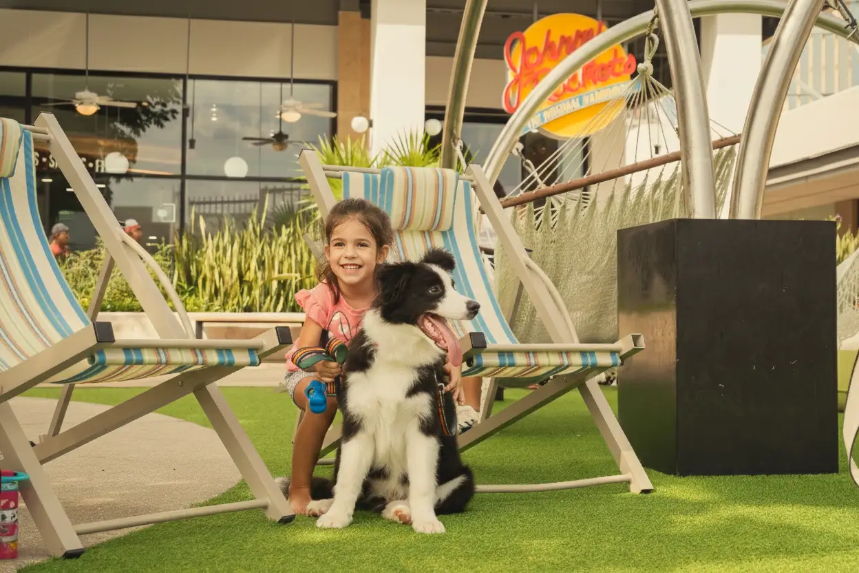 What to do in Cancun?